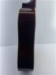 Eleca Acoustic Guitar DAG-5-SB